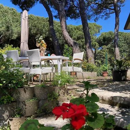 Orchidea Con Giardino Privato E Barbecue